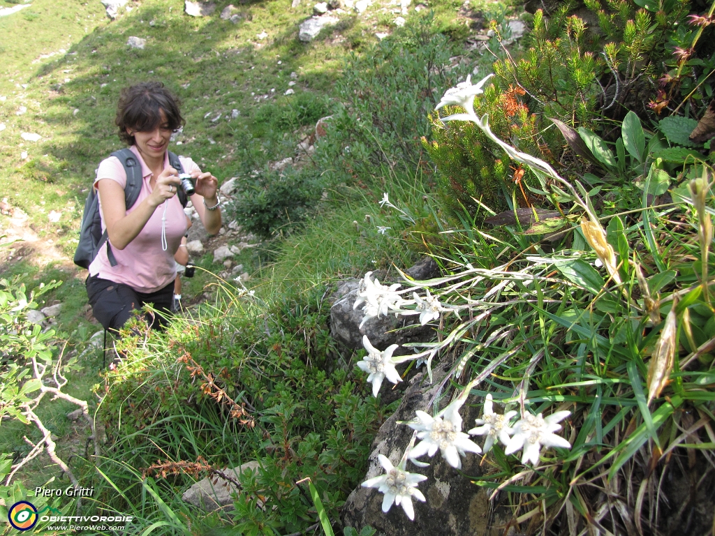 09 Stelle alpine con Roberta.jpg